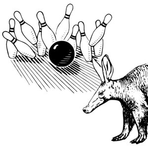 aardvark bowling